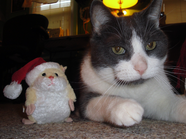 December 2011 - Frank