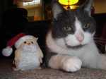 December 2011 - Frank