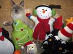 December 2011 - Kimmie