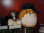 OMG HAMSTERS!