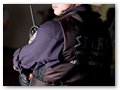 wesker1