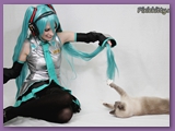 mikustudio2